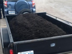 black mulch pick up