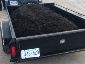 mulch pickup from the yard