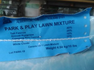 park & play seed mix